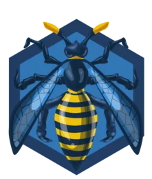 OWASP Top 10 badge