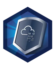 Shield Apprentice badge